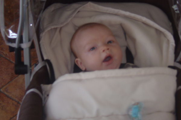 Image 54 of 56  -  28 kB